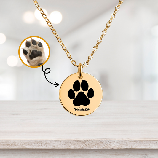 My Paw Love Print, Coin  Necklace